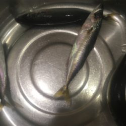 サバサバサバサバ