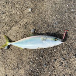 ゴールデンタイム♪