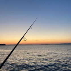 お試しアジング