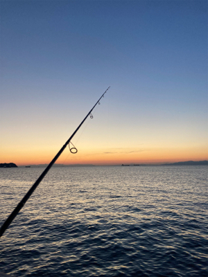 お試しアジング