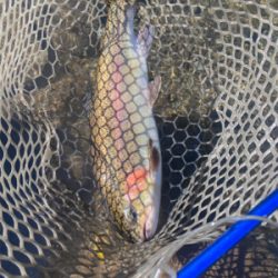 黒保根フィッシング