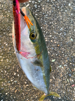 ショアジギング