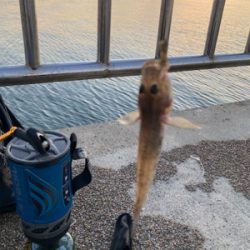 前回の雪辱。今度は餌釣りで