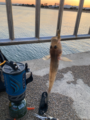 前回の雪辱。今度は餌釣りで