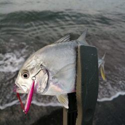 メッキポンポン