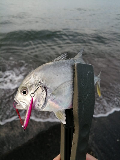 メッキポンポン