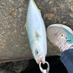 まだまだいけます！