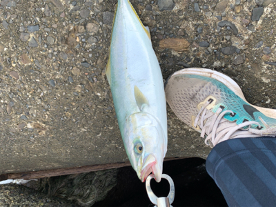 まだまだいけます！