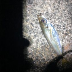 夜中にフロートアジング