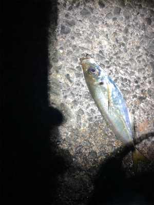 夜中にフロートアジング