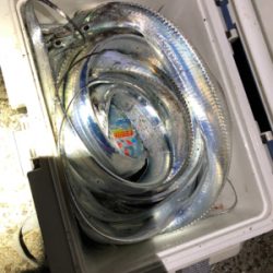 教えるつもりが教えてもらう事に