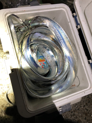 教えるつもりが教えてもらう事に