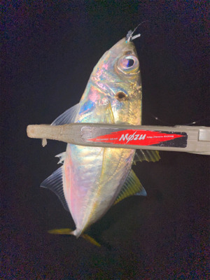 違和感を掛ける