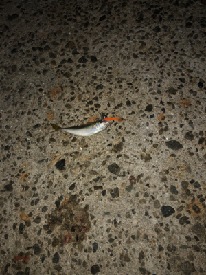 旅行先でチョイアジング