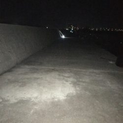 タチウオ、今年初のまともな釣果