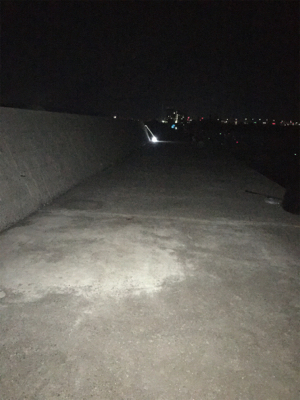 タチウオ、今年初のまともな釣果