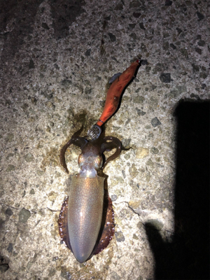 何とかかんとか