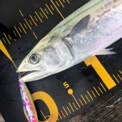 久しぶりの筏に❗️