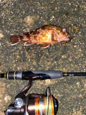 寒くなってきた