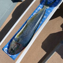 舞鶴沖ジギング