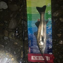 前回に続きd(^_^o)