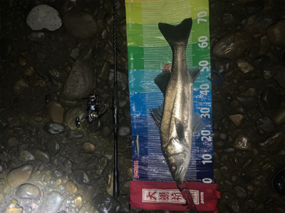 前回に続きd(^_^o)