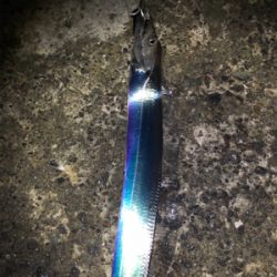 千田漁港サイコー！！