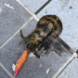 淡路島ランガンDAY