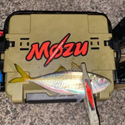 常夜灯　ボトムドリフト