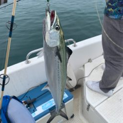 マイボート釣行