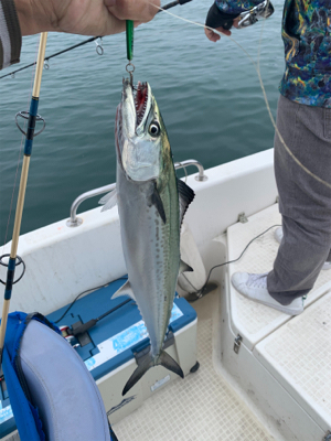 マイボート釣行