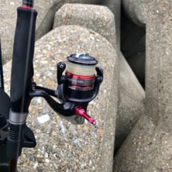 まだアオリイカ  釣れます(^^)