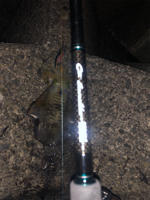 仕事終わりに2時間だけ。