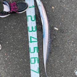 朝晩寒くなってきました！