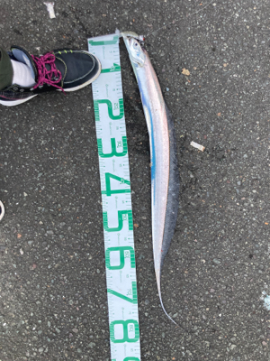 朝晩寒くなってきました！