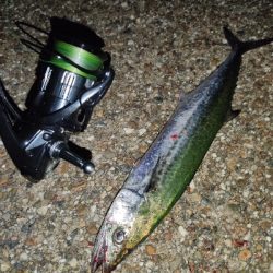 ランガンでズドン