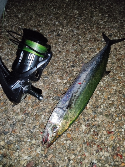 ランガンでズドン