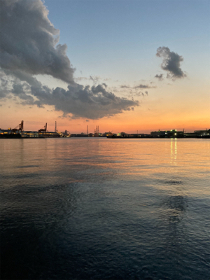 激しいボイルの中！よく食ってくれた