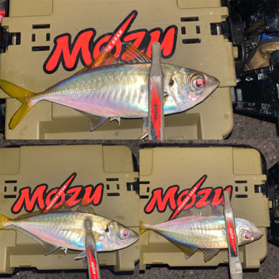 違和感で掛ける