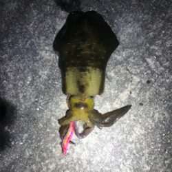 仕事帰りに1時間だけと