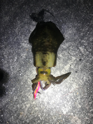 仕事帰りに1時間だけと