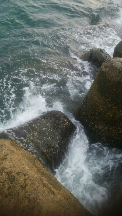 雨上がりに、障泥烏賊1杯