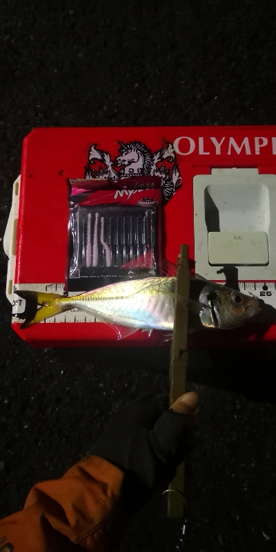 アジング練習 205