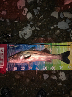 ランカー2本(^^)v