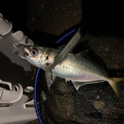 フロートアジング