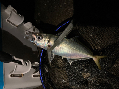 フロートアジング