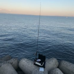 土日トレーニング