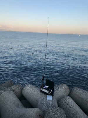 土日トレーニング