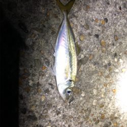 いつものところで