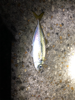 いつものところで